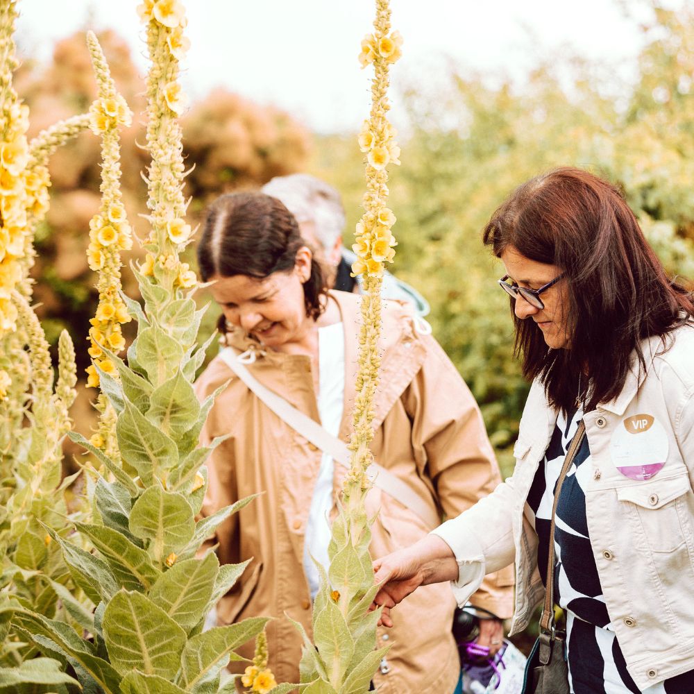 Heilpflanzen & ätherische Öle – Fachführung für Apotheker:innen / Hausmesse